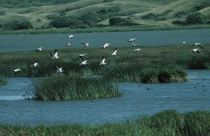 Southern Saskatchewan